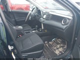 Toyota Rav4 Xle 2T3RFREV6JW806128 снимка