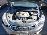 Kia Forte 1.8L Lx/1.8L Lx+/Lx+ Winter Edition KNAFX4A68F5339100 fotografie