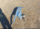 Acura Tl 19UUA8F55CA800745 снимка