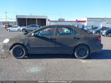 Toyota Corolla Ce/Le/Sport 2T1BR32E25C924137 fotografie