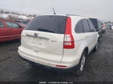 Honda Cr-V Ex-L 5J6RE4H71BL814851 снимка