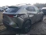 Lexus Nx 350H 350H 2T2GKCEZXSC035411 fotografie
