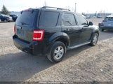 Ford Escape Xlt 1FMCU03G19KB18632 снимка