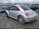 Volkswagen New Beetle 2.5L Highline/2.5L Silver-Red Edition/2.5L Trendline 3VWSW21C69M514521 fotografie