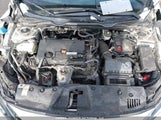 Honda Civic 2HGFC2F50HH003067 снимка