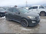 Hyundai Santa Fe 5XYZUDLAXDG046295 снимка