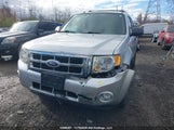 Ford Escape Xlt 1FMCU0D77BKC45132 снимка