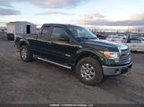 Ford F-150 Xlt 1FTFX1ET0DFA25210 снимка