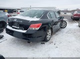 Honda Accord Ex-L 1HGCP2F80AA800473 снимка
