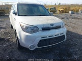 Kia Soul KNDJP3A56E7046488 снимка