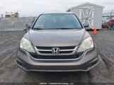 Honda Cr-V Ex 5J6RE4H59AL812973 снимка