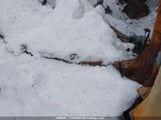 Subaru Impreza Premium Plus 4S3GKAF64H1608779 снимка