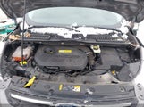 Ford Escape Se 1FMCU0GXXEUA25455 снимка