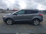 Ford Escape Se 1FMCU9G93EUC87064 снимка