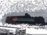 Mazda Cx-9 JM3TB38A090167226 снимка