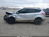 Ford Escape Sel 1FMCU9H92DUA22665 снимка