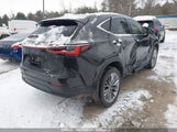 Lexus Nx 2T2GKCEZ4TC061830 снимка