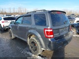 Ford Escape Xlt 1FMCU0DG3BKA29830 снимка