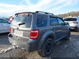 Ford Escape Xlt 1FMCU0DG3BKA29830 снимка