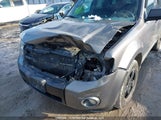 Ford Escape Xlt 1FMCU0DG3BKA29830 снимка