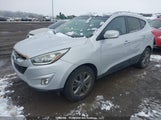 Hyundai Tucson KM8JU3AG0FU960681 снимка