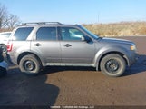 Ford Escape Xlt 1FMCU0DGXBKA83979 снимка