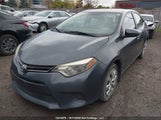 Toyota Corolla Le 2T1BURHE6GC666345 снимка