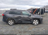 Toyota Rav4 Xle/Xle Premium 2T3R1RFV9LW125493 fotografie