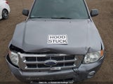Ford Escape Xlt 1FMCU93118KA23325 снимка