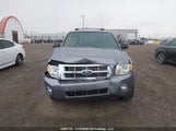 Ford Escape Xlt 1FMCU93118KA23325 снимка