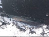 Mazda Mazda6 Gs-I4/Gt-I4 1YVHP80C675M57409 photo