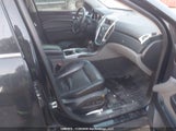 Cadillac Srx Luxury Collection 3GYFNDEY7AS509914 снимка