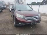 Honda Cr-V Exl 2HKRM4H78EH131630 снимка