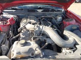 Ford Mustang V6 1ZVBP8AM0B5113518 снимка