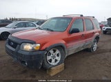 Ford Escape Xlt 1FMYU93157KA26667 снимка