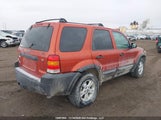 Ford Escape Xlt 1FMYU93157KA26667 снимка