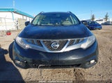 Nissan Murano S/Sl/Le JN8AZ1MW2BW165275 fotografie