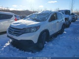 Honda Cr-V Lx 2HKRM3H31DH003008 снимка