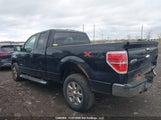 Ford F-150 Xlt 1FTFX1ETXDFC91169 снимка