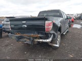 Ford F-150 Xlt 1FTFX1ETXDFC91169 снимка