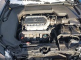 Acura Tl 19UUA9E57DA800397 снимка