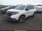 Honda Passport 5FNYF8H23LB501721 снимка