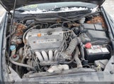 Honda Accord Value 1HGCM56117A813237 снимка