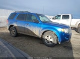 Ford Escape Xlt 1FMCU0D70CKA31066 fotografie