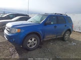 Ford Escape Xlt 1FMCU0D70CKA31066 снимка