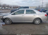 Toyota Corolla Ce 2T1BU4EE5AC259423 снимка