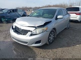 Toyota Corolla S/Le/Xle 2T1BU4EE3AC199626 снимка