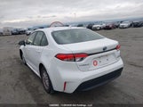 Toyota Corolla Le/Se/Xle/Night Shade JTDBCMFE3RJ031857 fotografie