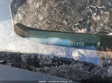 Honda Civic Lx 2HGFC2F57HH033456 снимка