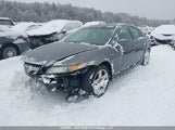 Acura Tl 19UUA66286A804299 снимка